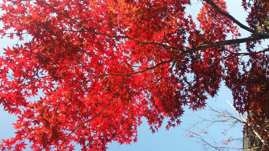 Stake(�й�)�ٷ���վ-Stake����,ֻΪ��ͬ����